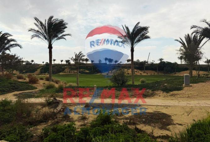 8620626 - Property Image 2