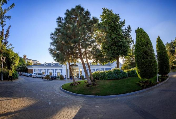 8642217 - صورة العقار 3