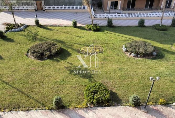 8408977 - Property Image 3