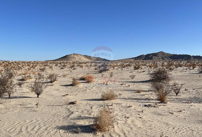 96031760 - Property Image 3