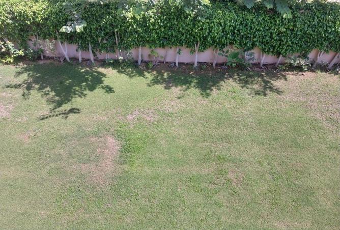 56256434 - صورة العقار 3