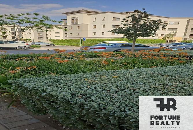 61437314 - Property Image 2