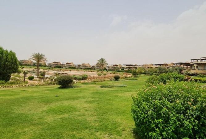 53478390 - صورة العقار 3