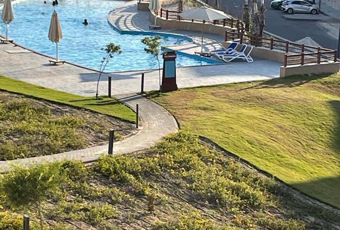 61190486 - Property Image 3