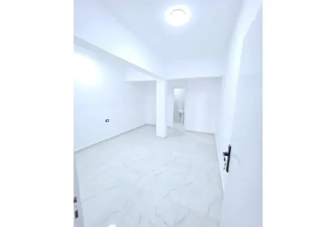 110743819 - Property Image 2