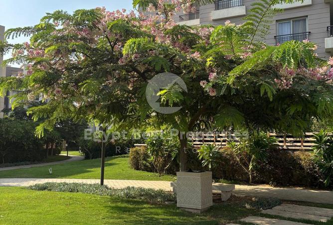 56264015 - صورة العقار 2