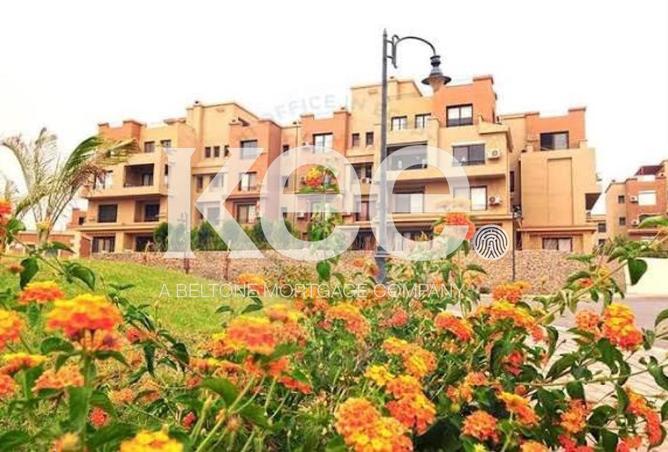 101781087 - الصورة الرئيسية للعقار