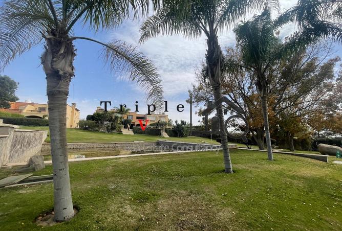 97442566 - صورة العقار 3