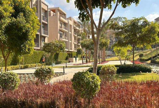 70364328 - صورة العقار 2