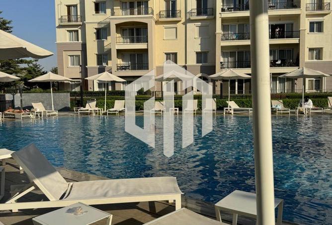 8572389 - Property Image 3