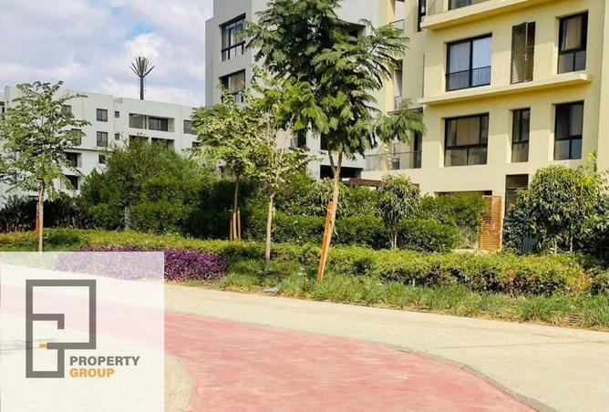 8604846 - Property Image 3