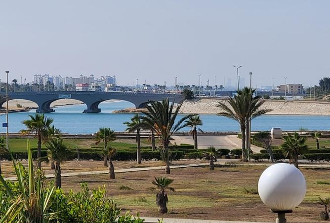 53973784 - الصورة الرئيسية للعقار