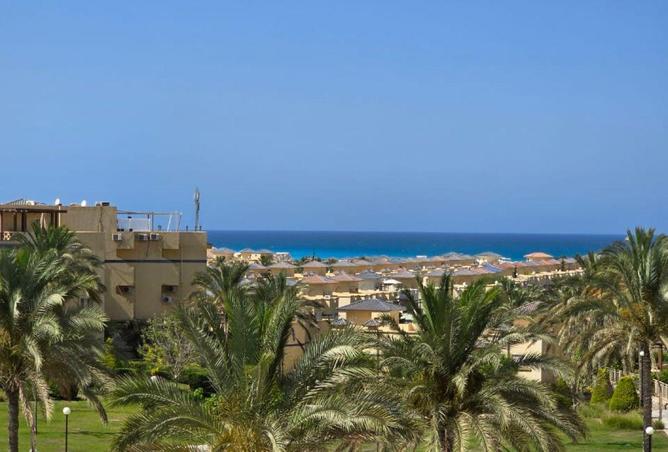 70365184 - الصورة الرئيسية للعقار