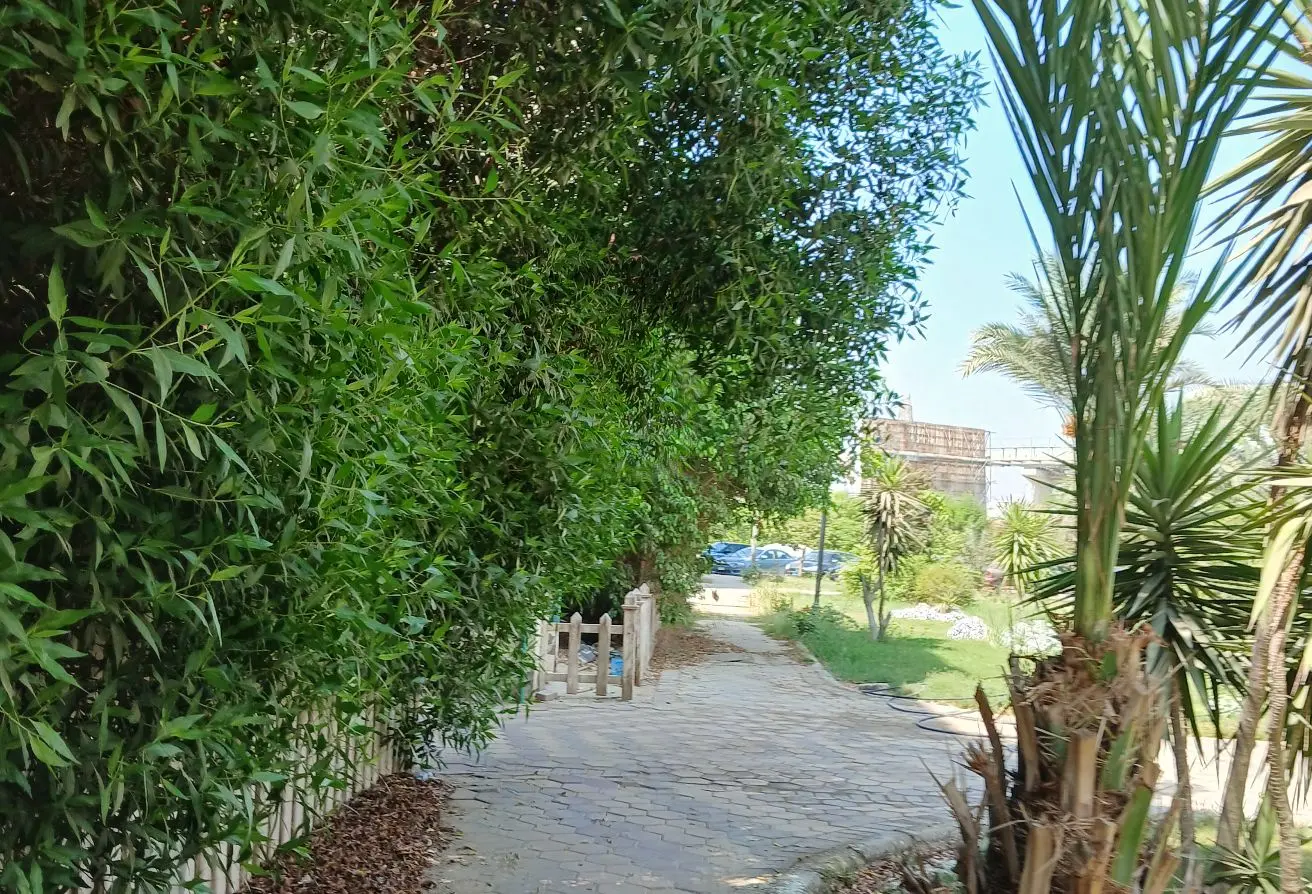 111301213 - الصورة الرئيسية للعقار