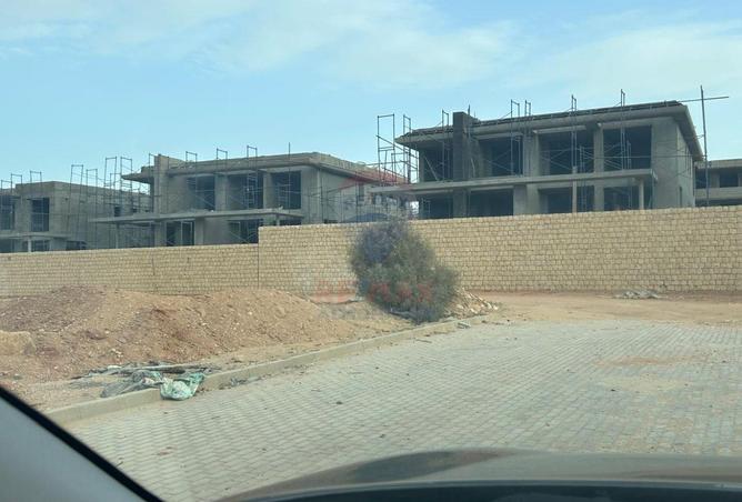 55868797 - Property Image 3