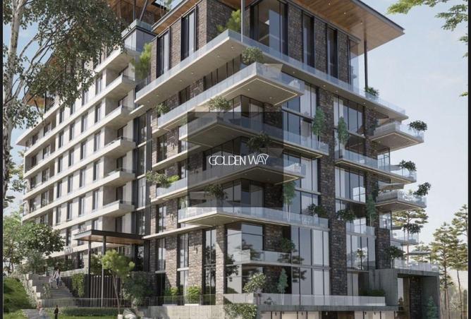 54242772 - Property Image 3