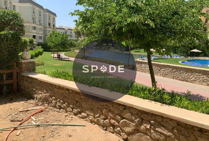 57236670 - Property Image 3