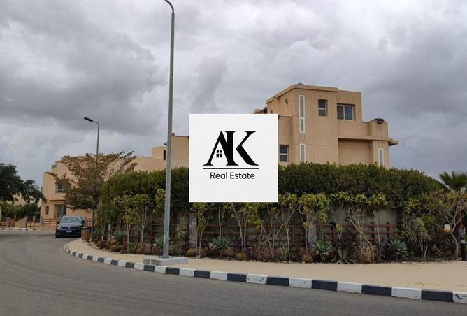 8658331 - Property Image 3