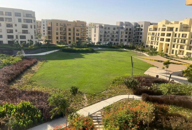 58994859 - صورة العقار 3