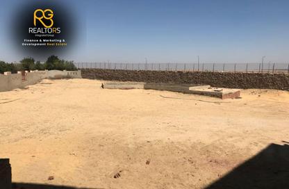 فيلا - 4 غرف نوم - 3 حمامات للبيع في بالم جاردنز - طريق مصر اسكندرية الصحراوي - مدينة 6 أكتوبر - الجيزة فيلا - 4 غرف نوم - 3 حمامات للبيع في بالم جاردنز - طريق مصر اسكندرية الصحراوي - مدينة 6 أكتوبر - الجيزة