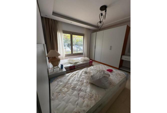 66951568 - صورة العقار 3