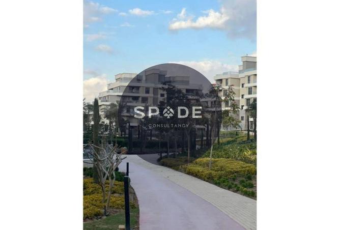 60951336 - Property Image 3