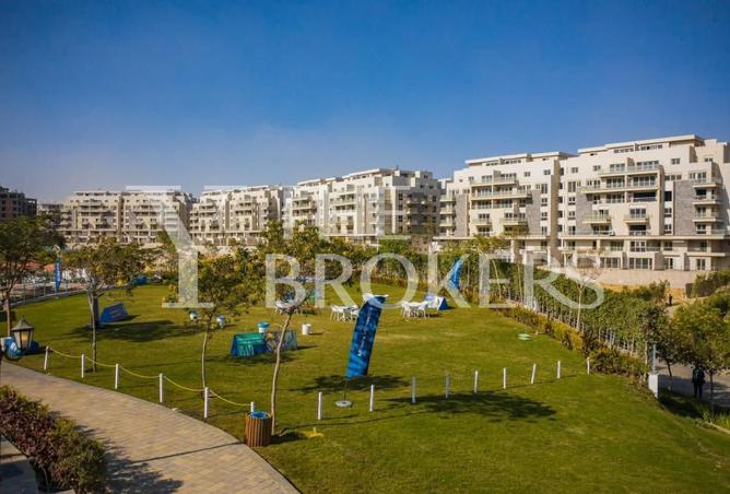 53725722 - Property Image 3