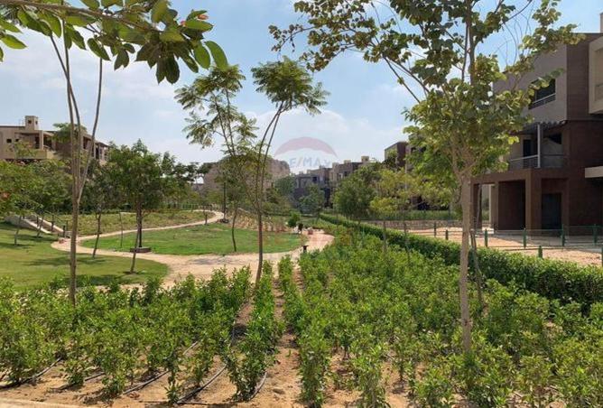 64136429 - الصورة الرئيسية للعقار