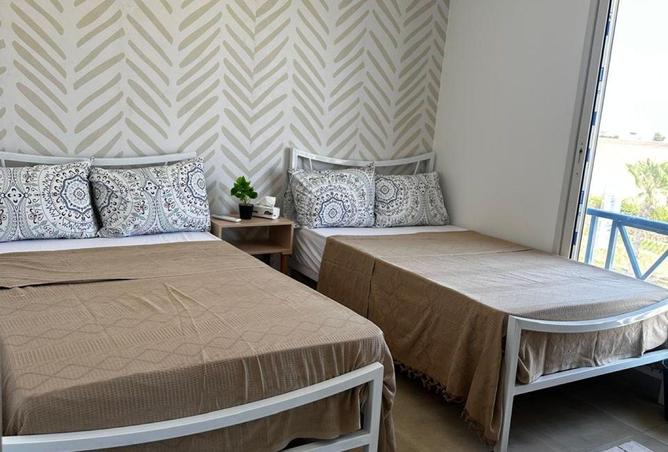 55253667 - صورة العقار 3