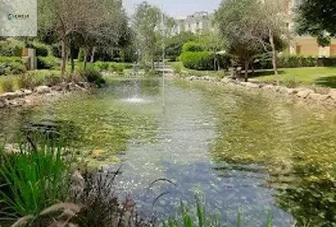 64639827 - صورة العقار 3