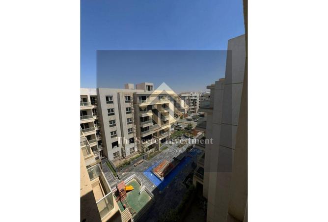 66279341 - Property Image 3