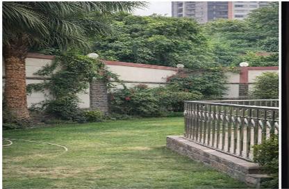 iVilla - 7+ Bedrooms - 3 Bathrooms for rent in Shehab St. - Mohandessin - Giza