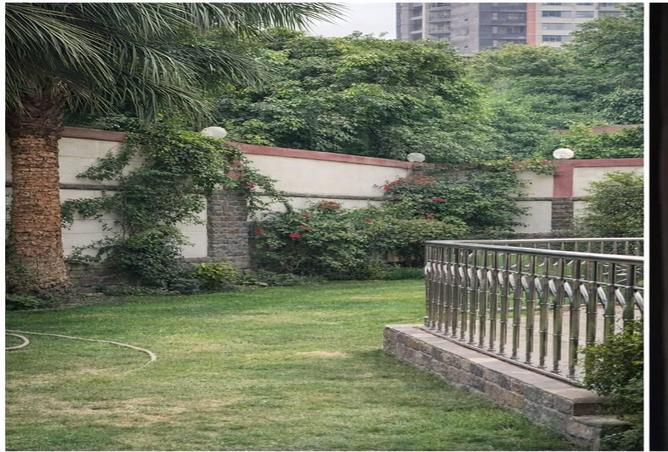 65412407 - Property Main Image