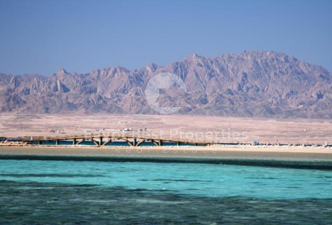 98009844 - صورة العقار 3