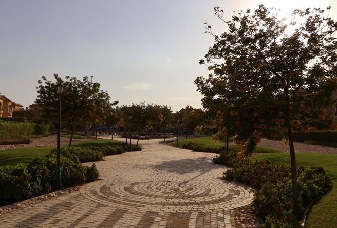 97715960 - صورة العقار 2