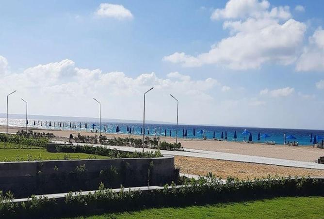 62404218 - Property Image 3