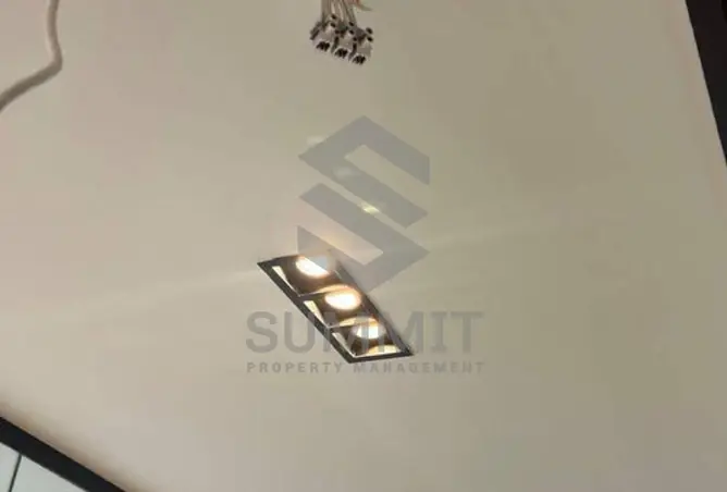 118536243 - Property Image 3