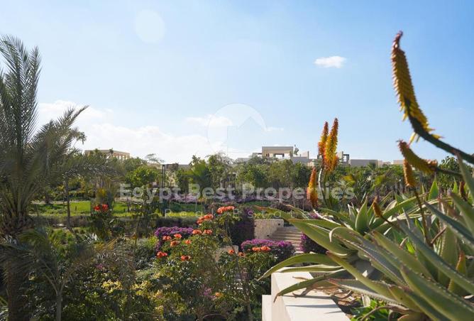 8537097 - صورة العقار 3