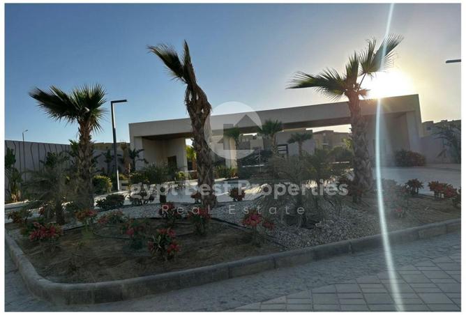 107413527 - Property Image 3