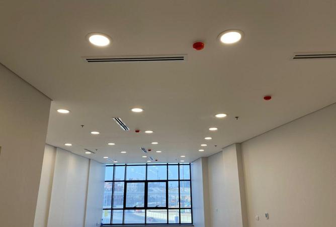 55745931 - Property Image 2