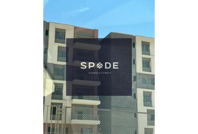 8512493 - Property Image 3