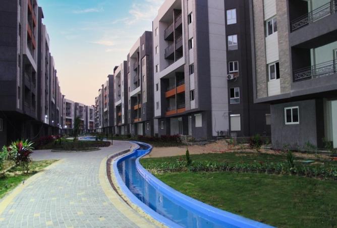 53734764 - صورة العقار 3