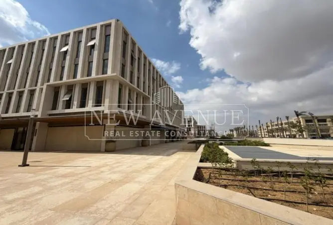 113252062 - Property Image 3
