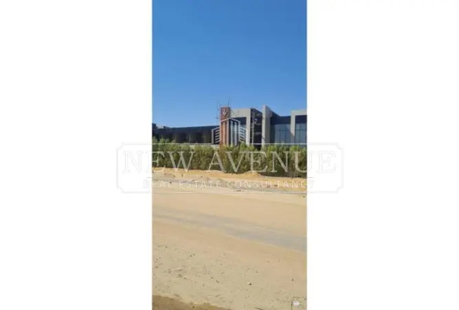 113546318 - Property Image 3