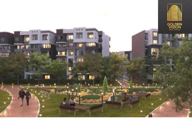 8446501 - Property Image 3