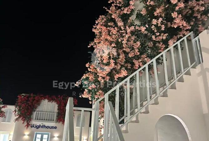 62410078 - صورة العقار 3