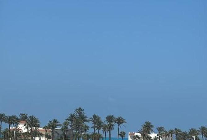 63390959 - Property Image 2