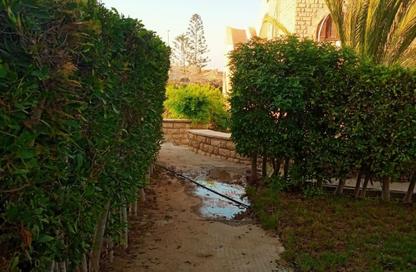 شاليه - 3 غرف نوم - 2 حمامات للبيع في مارينا 5 - مارينا - العلمين - الساحل الشمالي شاليه - 3 غرف نوم - 2 حمامات للبيع في مارينا 5 - مارينا - العلمين - الساحل الشمالي