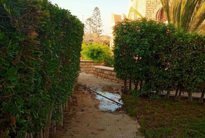 101495096 - صورة العقار 2