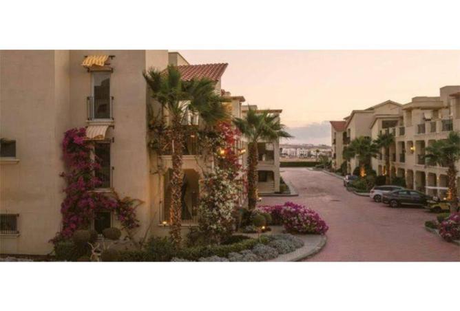 51669819 - صورة العقار 3